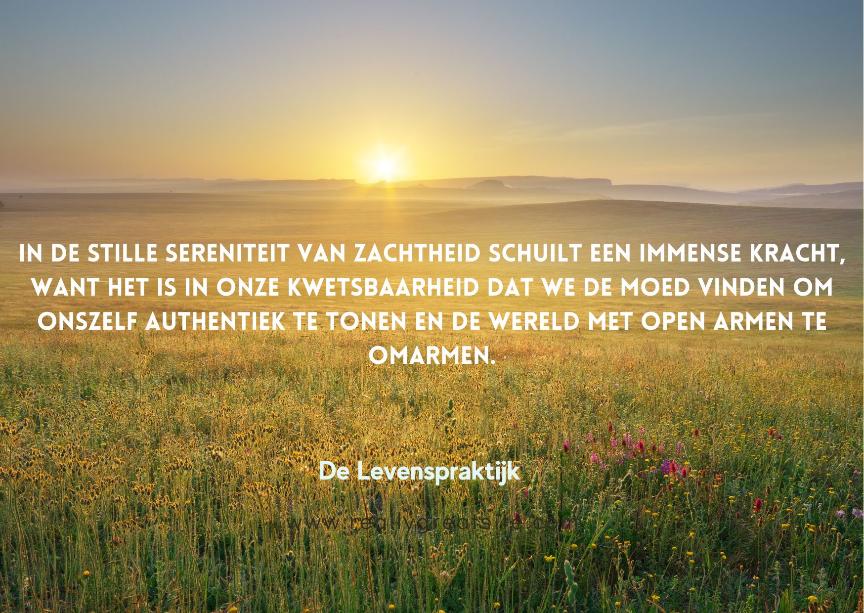 Sereniteit in de kwetsbaarheid van zachtheid.